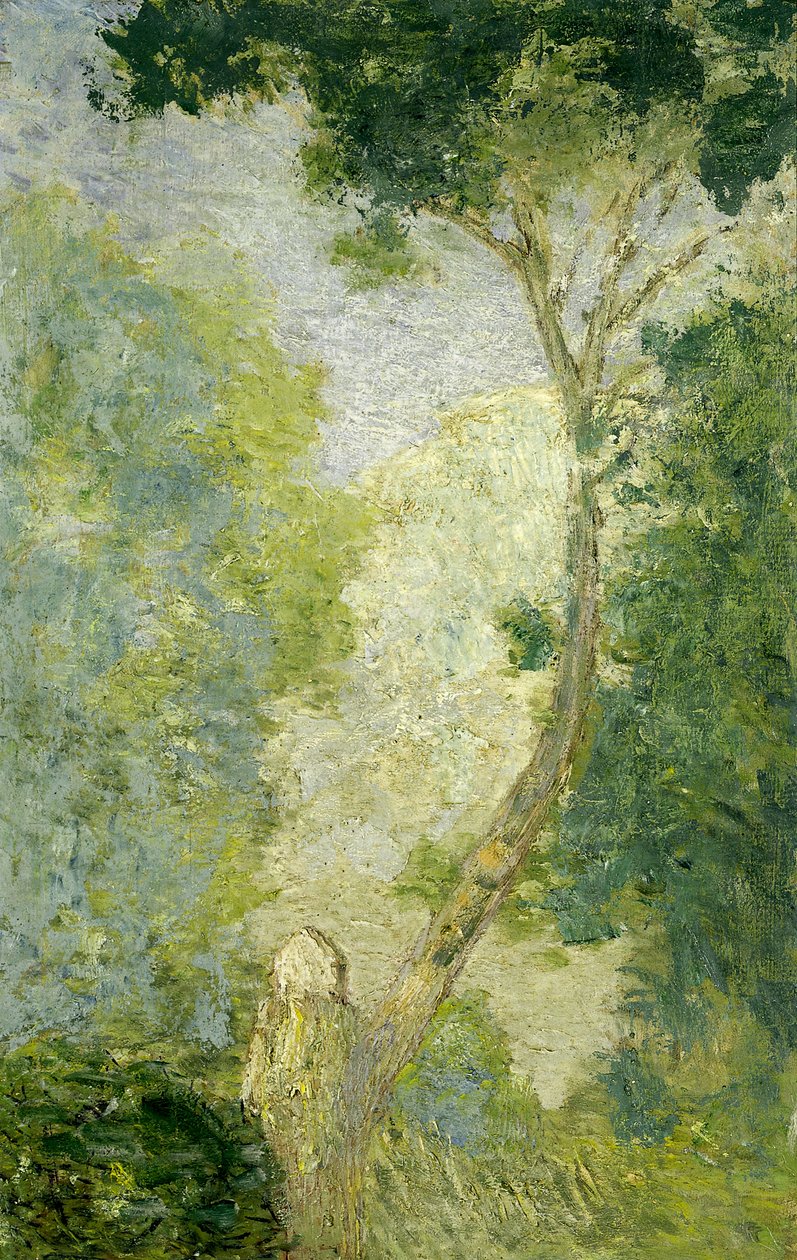 Landschaft, nach 1900 von Julian Alden Weir