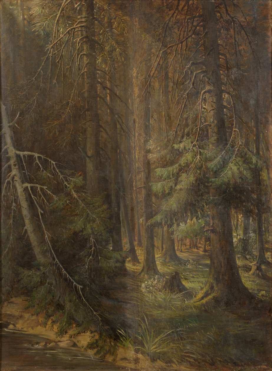 Wald von Julie Wilhelmine Hagen-Schwarz
