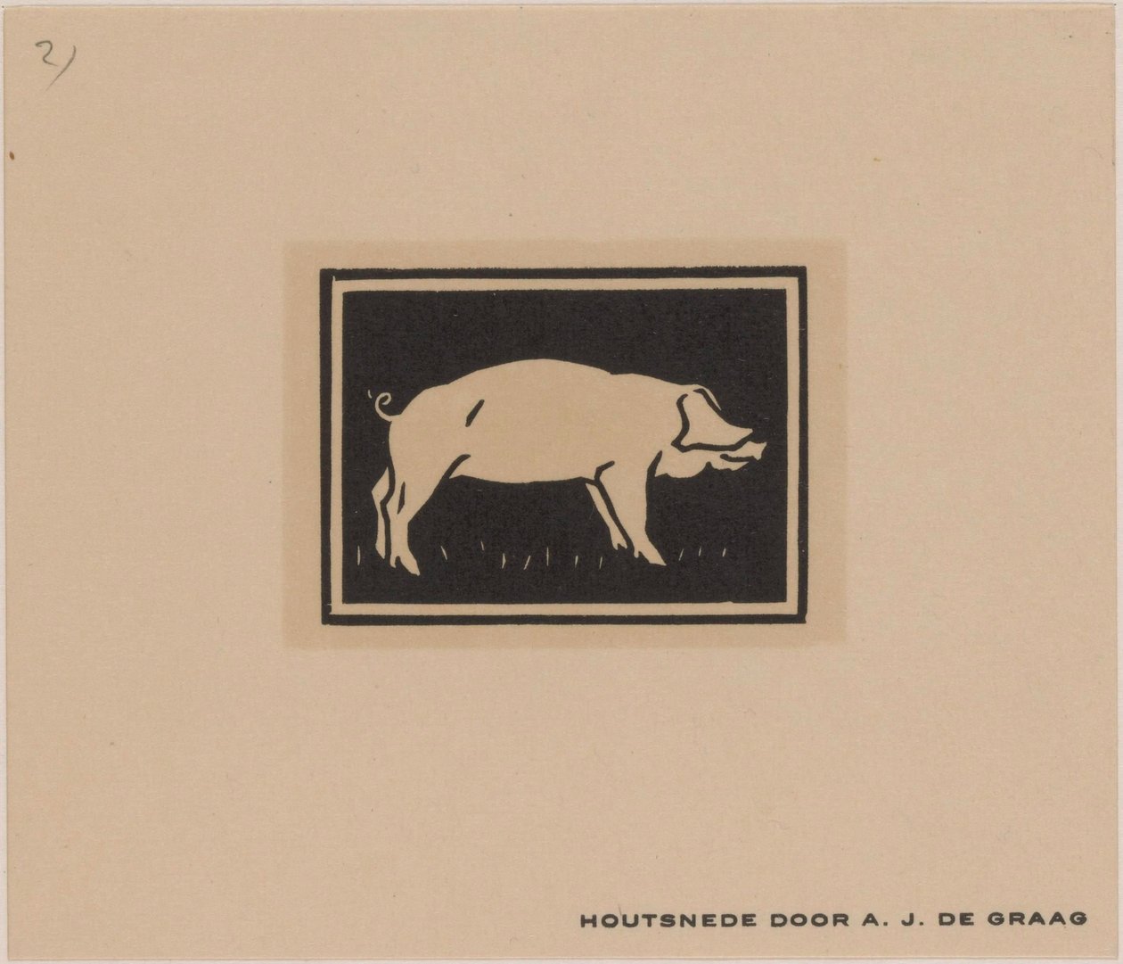 Schwein von Julie de Graag