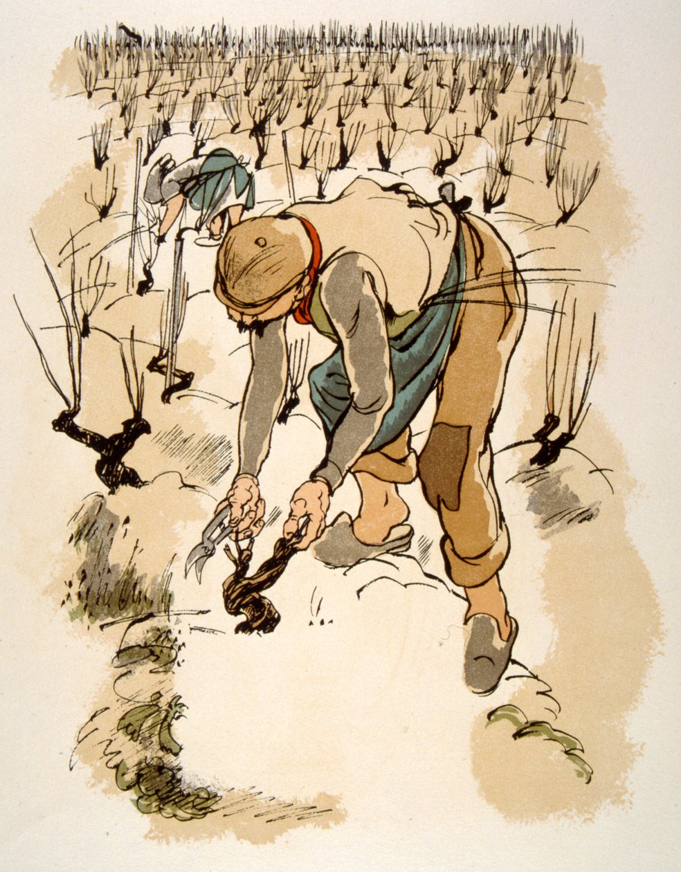 Humorvolle Weinillustration 1946 von Julien Pavil