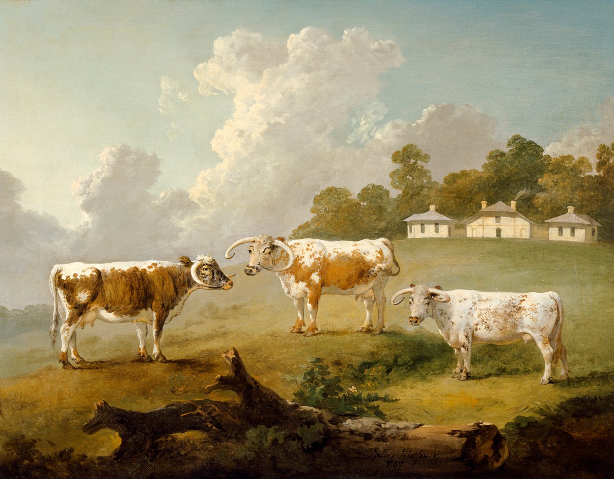 Drei Langhornrinder in Kenwood, 1797 von Julius Caesar Ibbetson