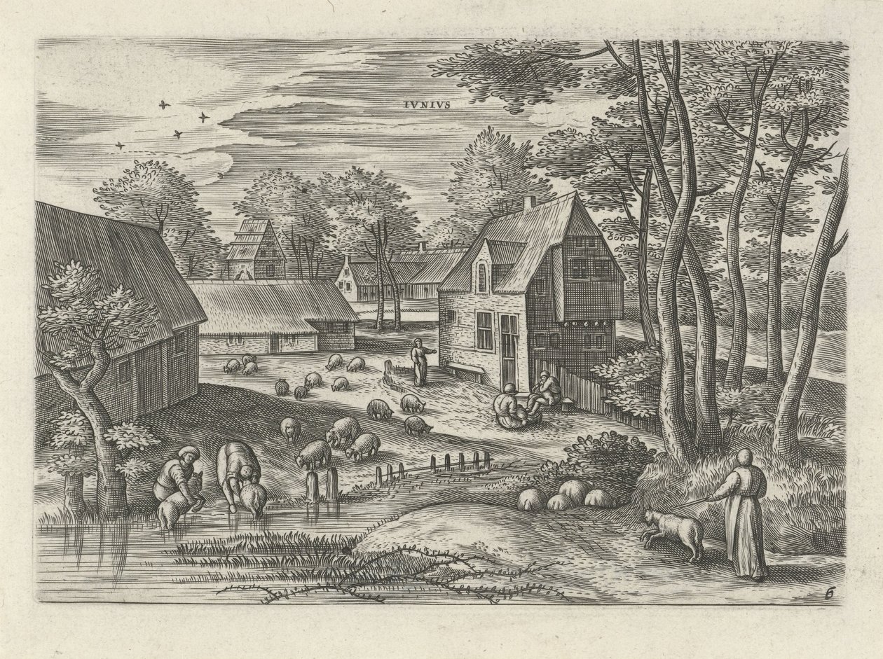 Juni von Julius Goltzius