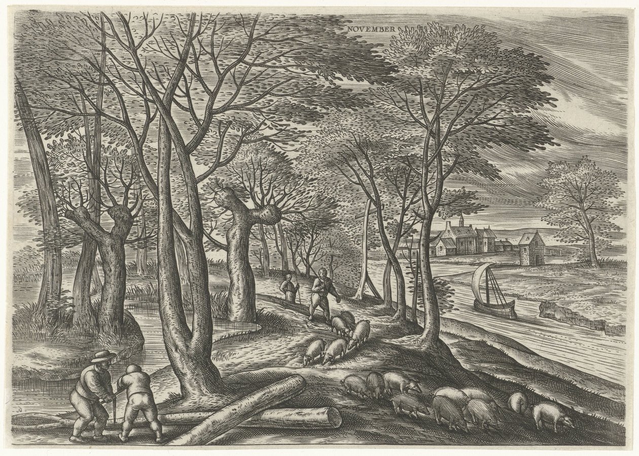 November von Julius Goltzius