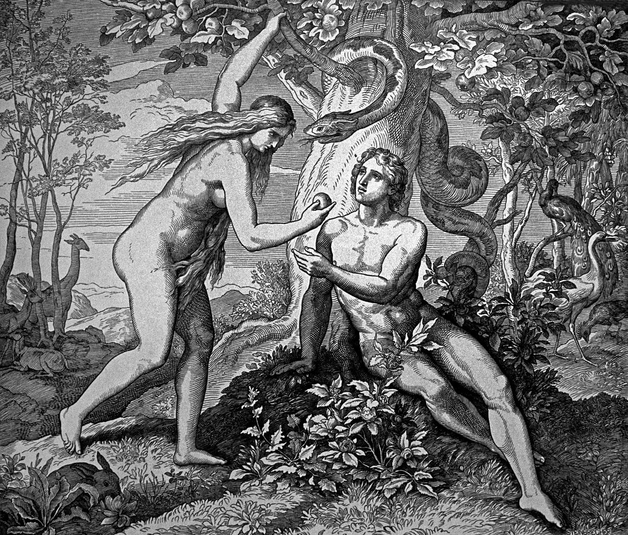 Adam und Eva mit dem Apfel von Julius Schnorr von Carolsfeld