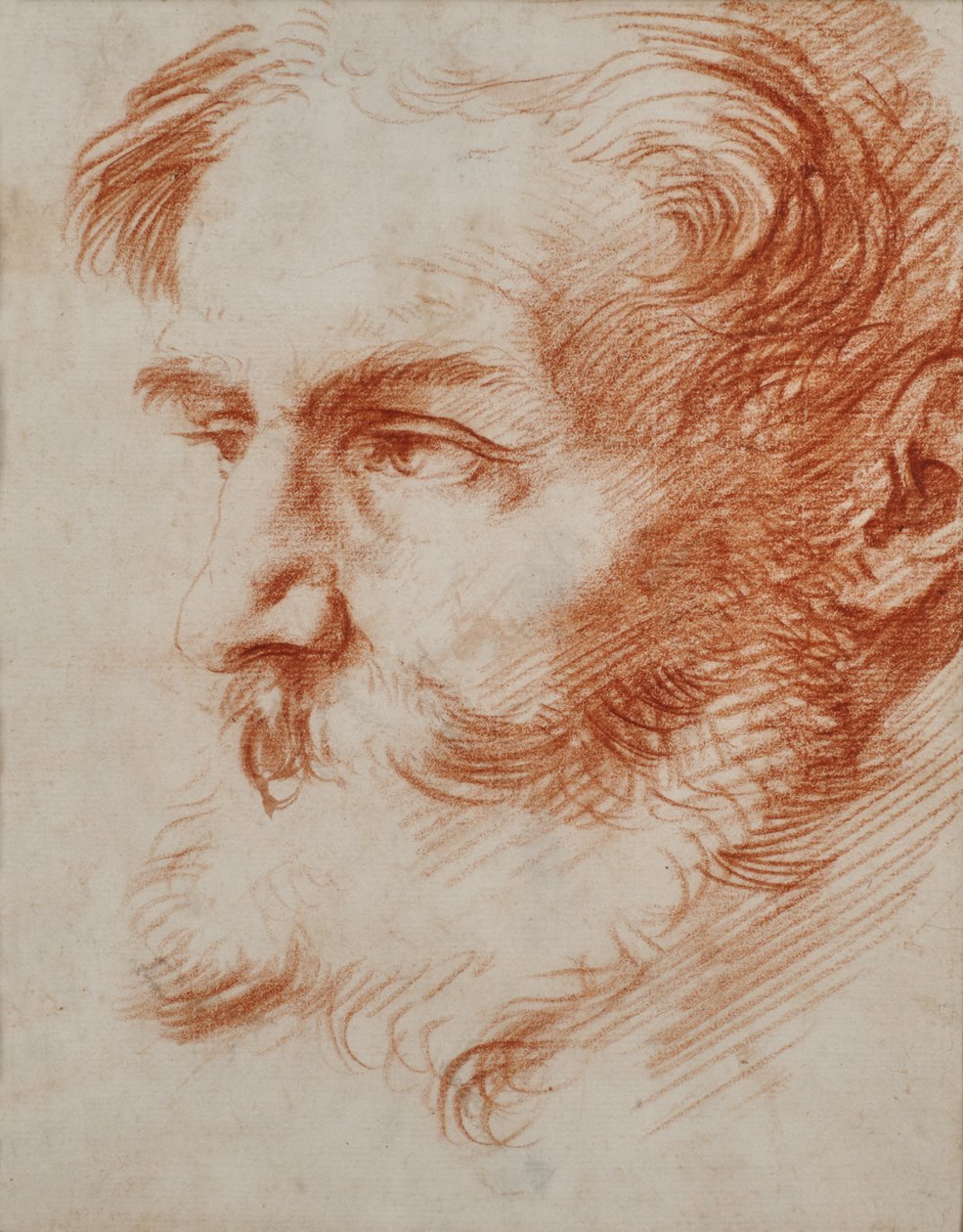 Kopf eines bärtigen Mannes von Jusepe de Ribera