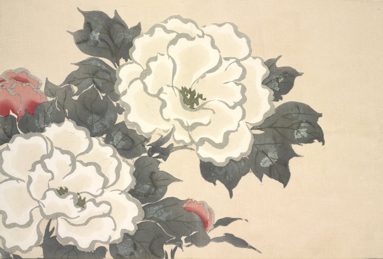 Fukami-Gusa, aus Momoyo-gusa (Die Welt der Dinge) Bd. I, veröffentlicht 1909 von Kamisaka Sekka