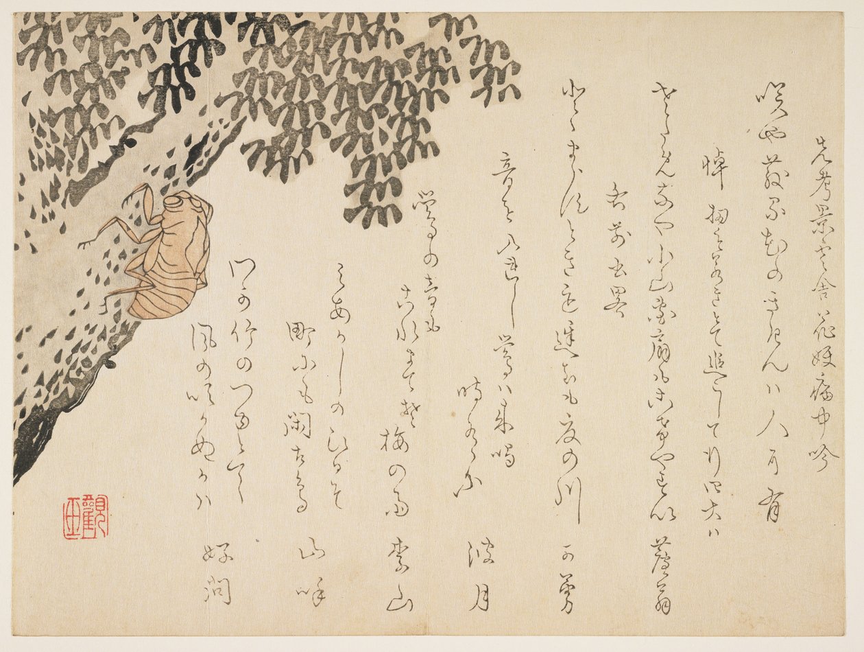 Zikadenschale, ca. 1848-53 von Kangyoku Hgan