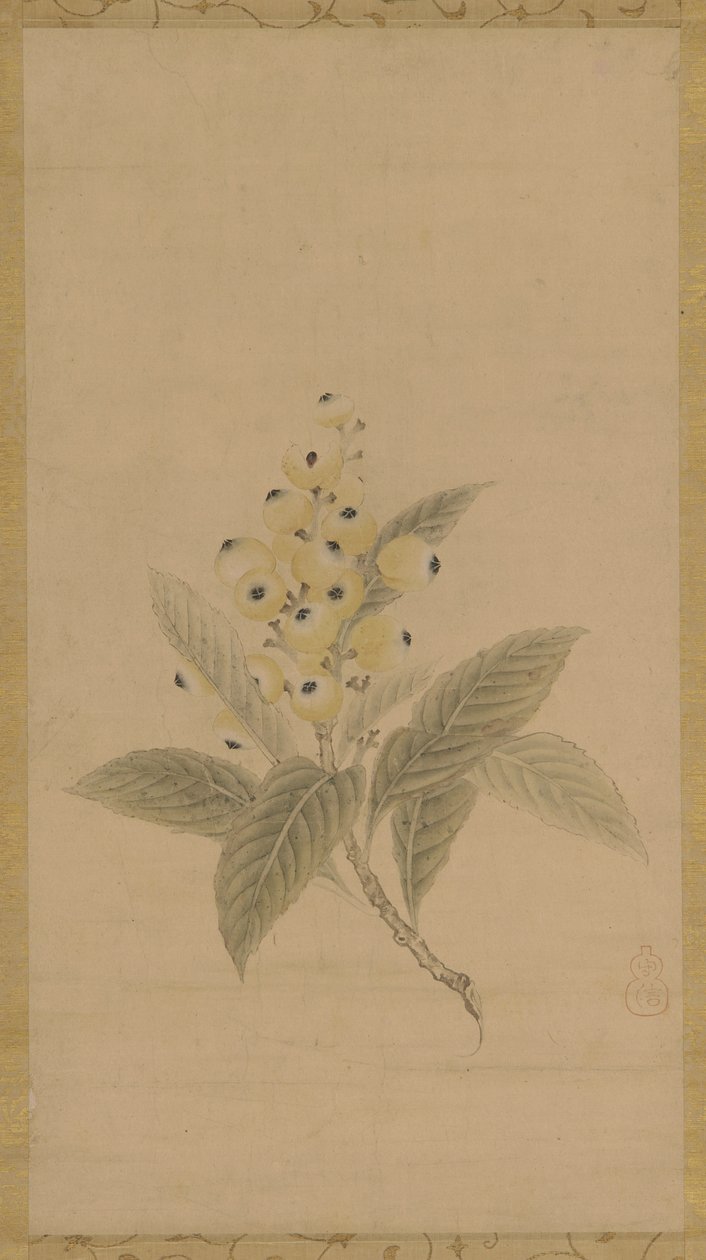 Ein Zweig mit Mispeln, Edo-Periode, 17. Jahrhundert von Kanō Tan’yū