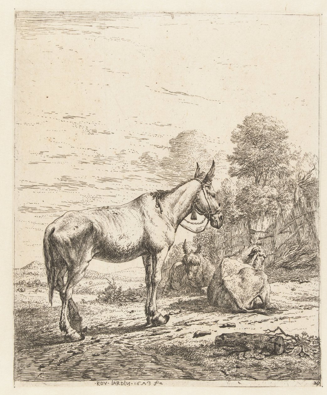 Maultier mit Glocke am Halfter und zwei liegende Esel von Karel Du Jardin
