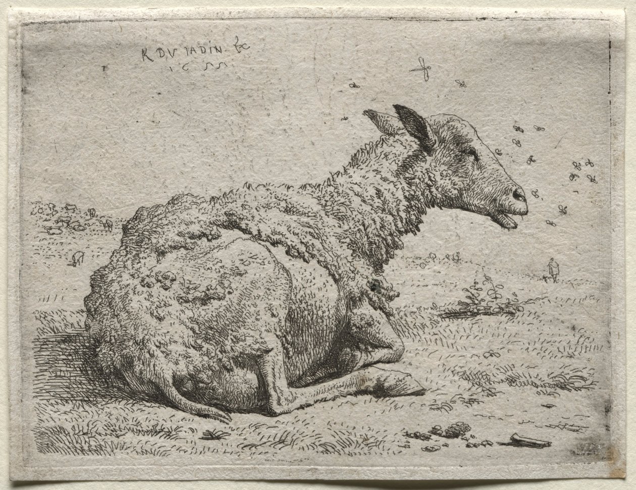 Die Schafe und die Fliegen von Karel Dujardin