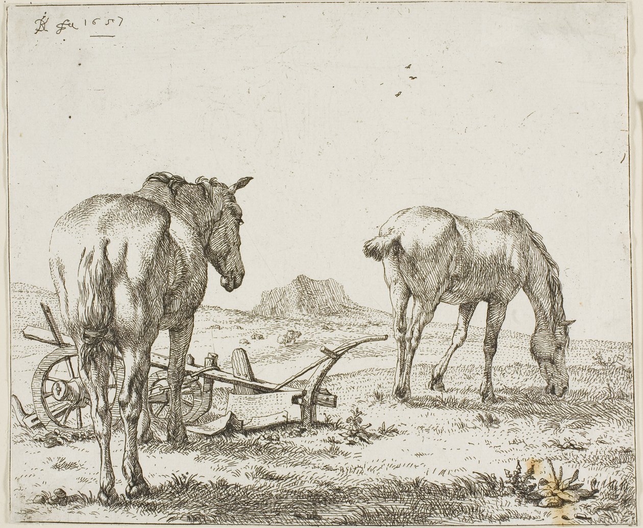 Zwei Pferde bei einem Pflug von Karel Dujardin