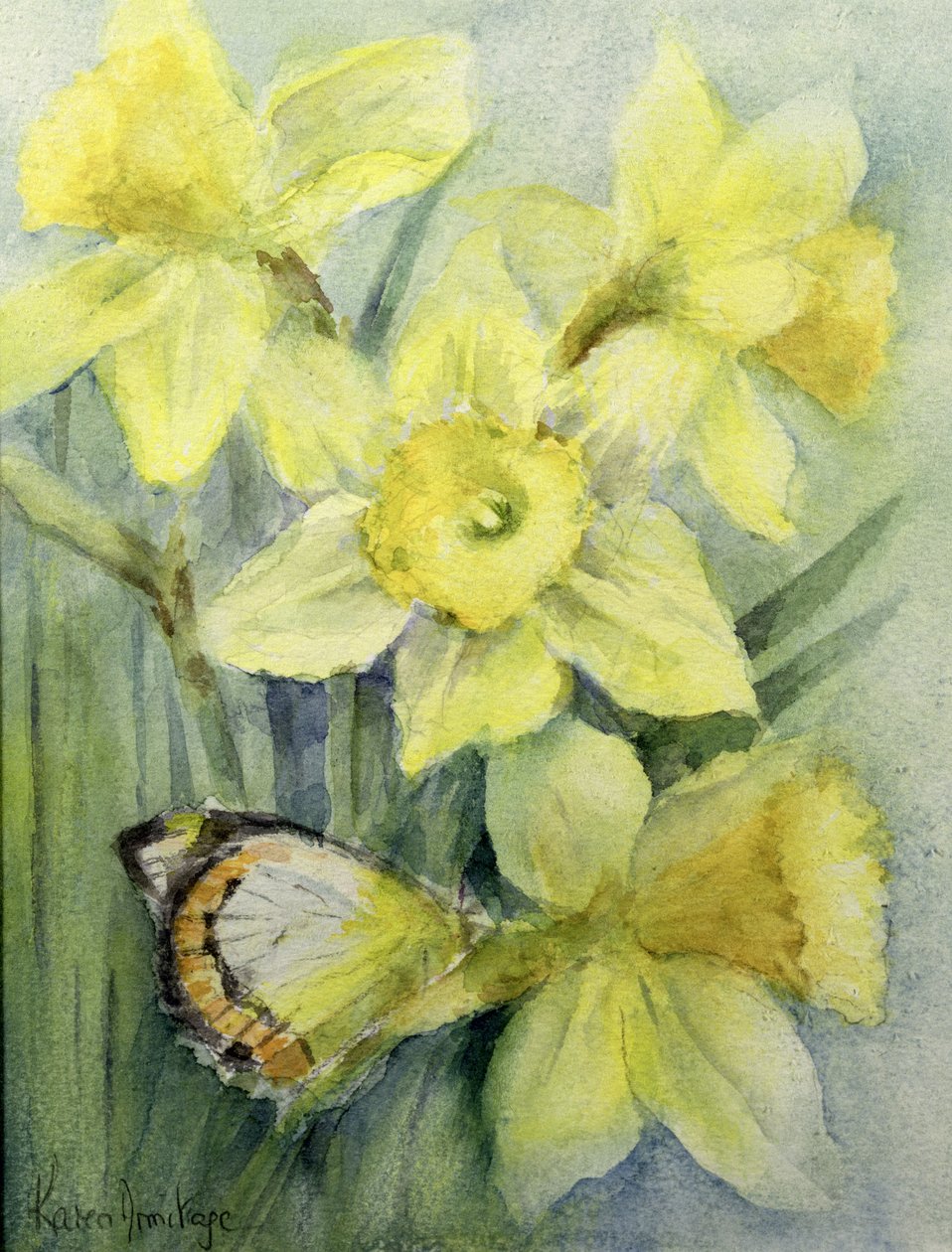 Delias Mysis (Union Jack) Schmetterling auf Narzissen von Karen Armitage