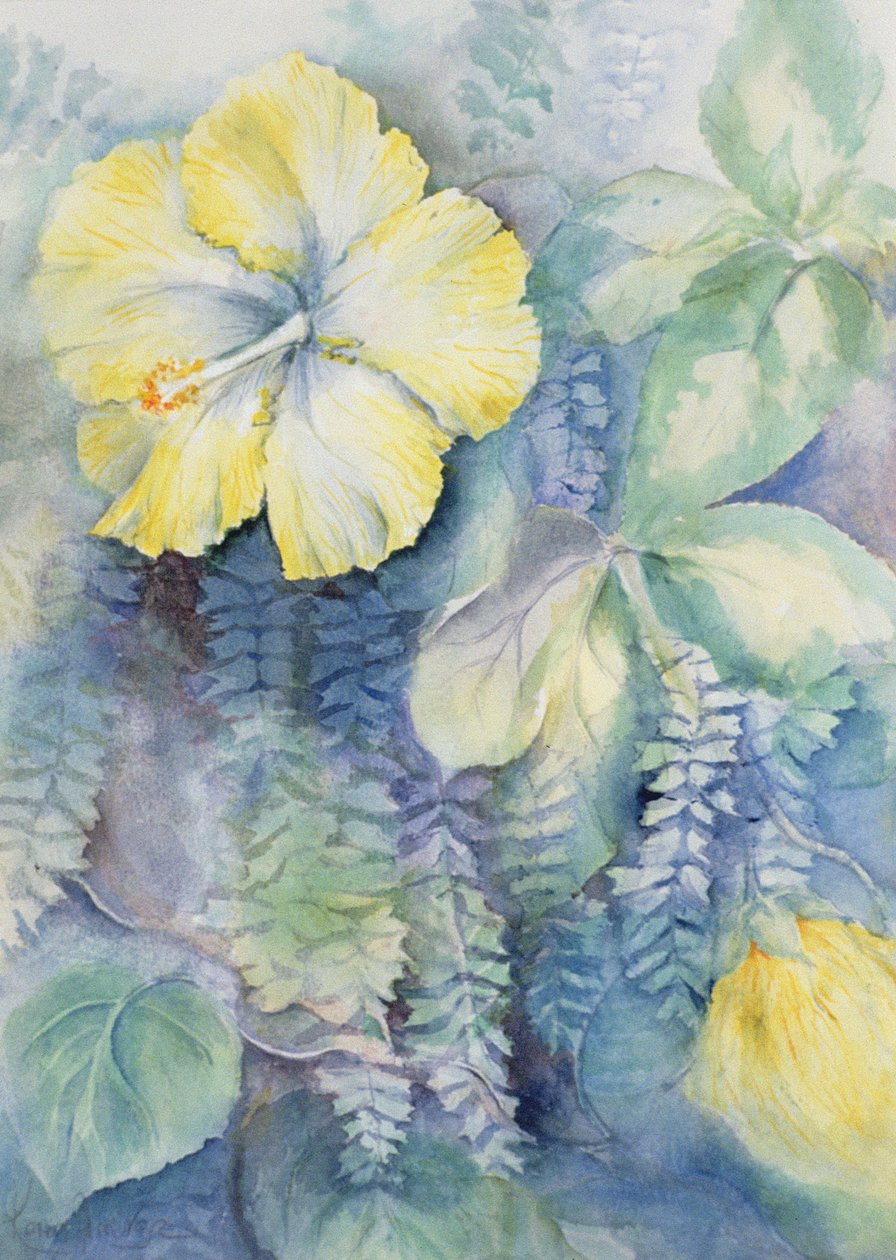 Hibiskus, gelb von Karen Armitage