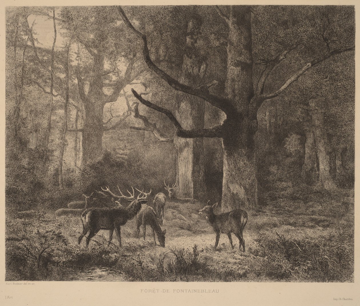 Wald von Fontainebleau von Karl Bodmer