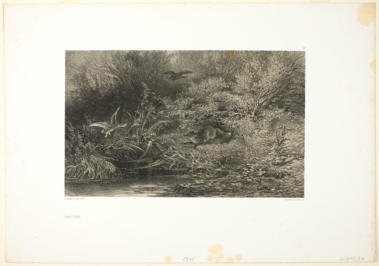 Fuchs auf der Pirsch von Karl Bodmer