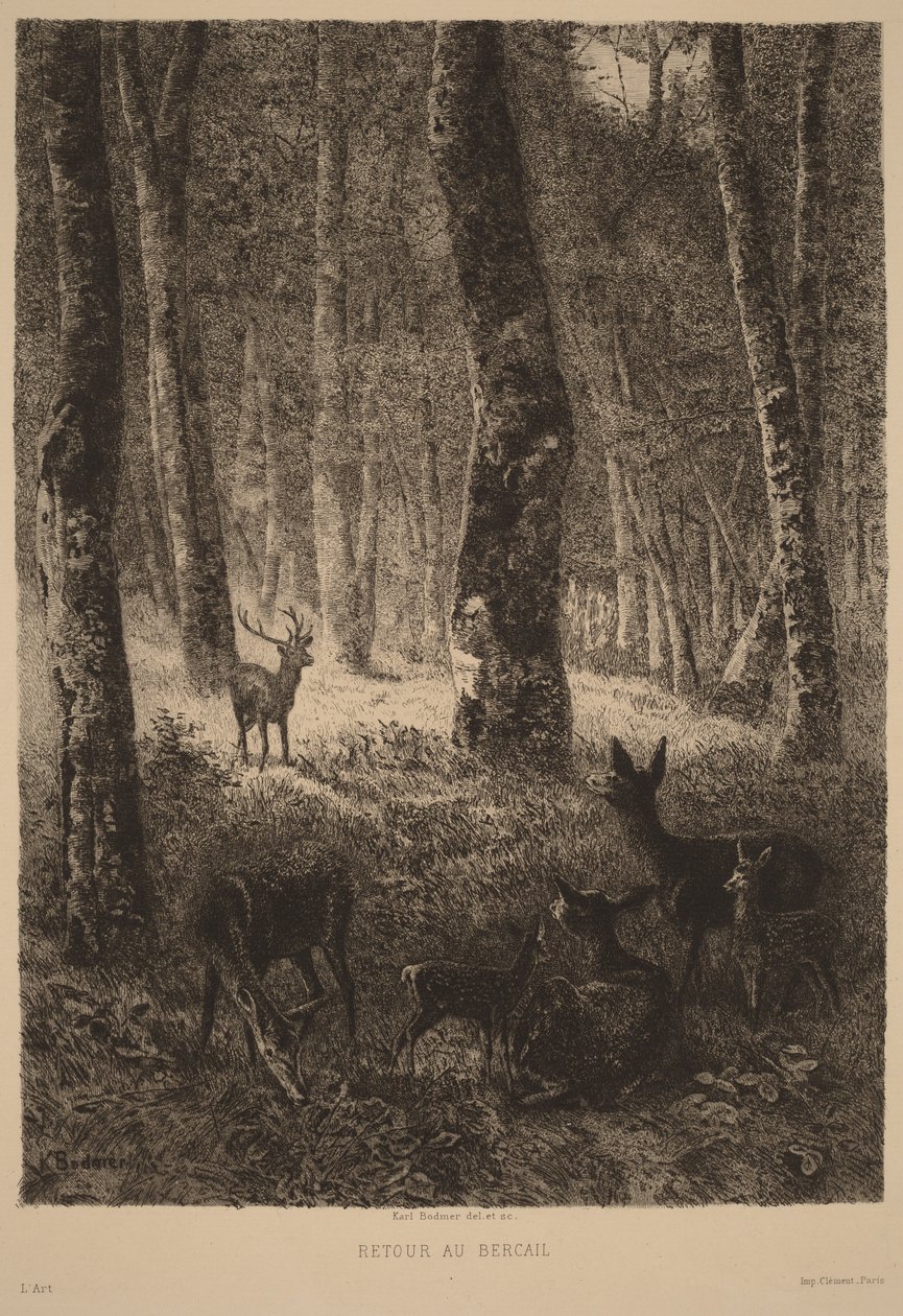 Rückkehr zur Herde von Karl Bodmer