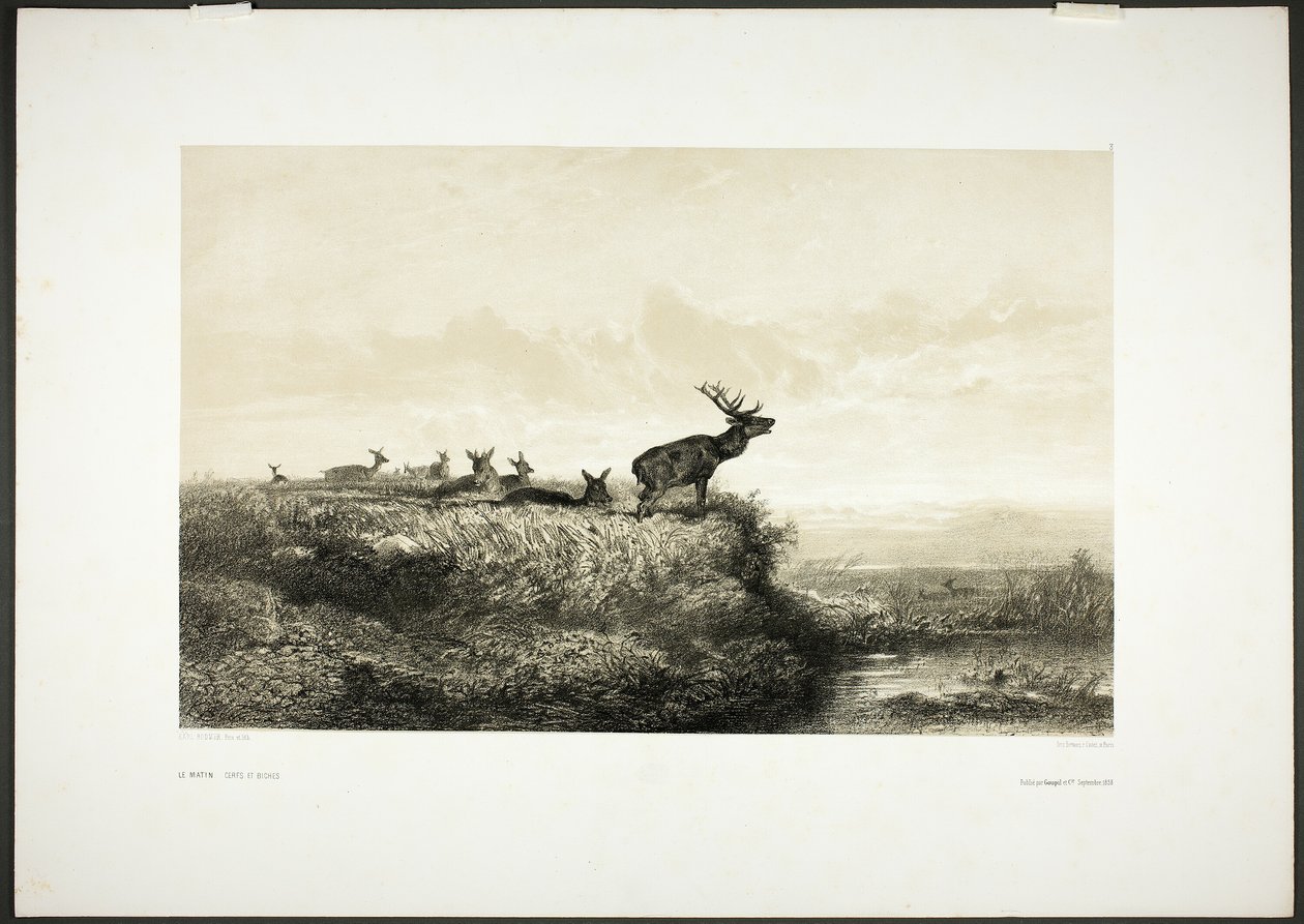 Der Morgen: Hirsche und Rehe von Karl Bodmer
