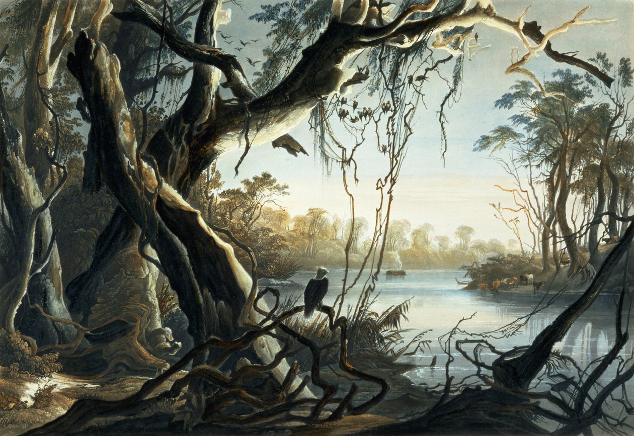 Die Mündung des Fox River, Indiana, Tafel 5 aus Band 2 von 