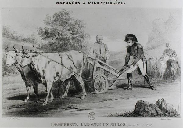 Napoleon (1769-1821) auf St. Helena, graviert von Francois le Villain von Karl after Loeillot Hartwig