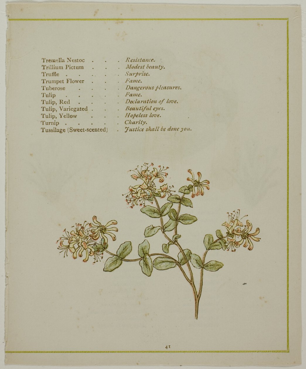 Valerian durch Volkamenia, aus Die erleuchtete Sprache der Blumen von Kate Greenaway