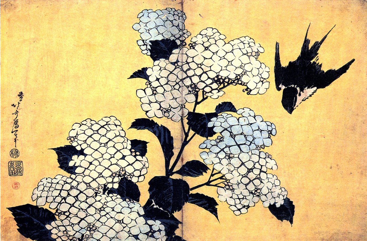 Hortensie und Schwalbe von Katsushika Hokusai