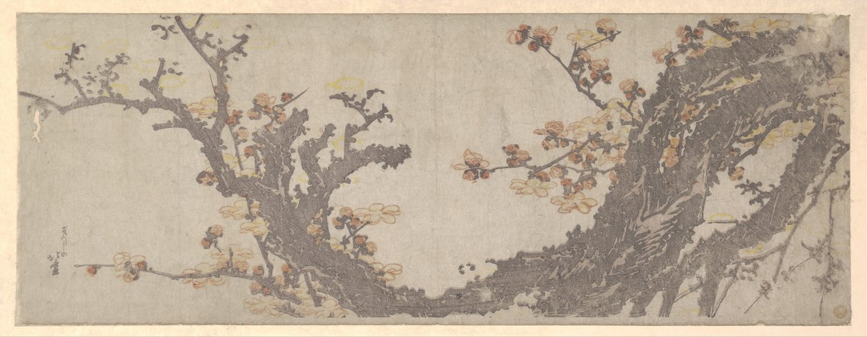Alter Pflaumenbaum in Blüte von Katsushika Hokusai
