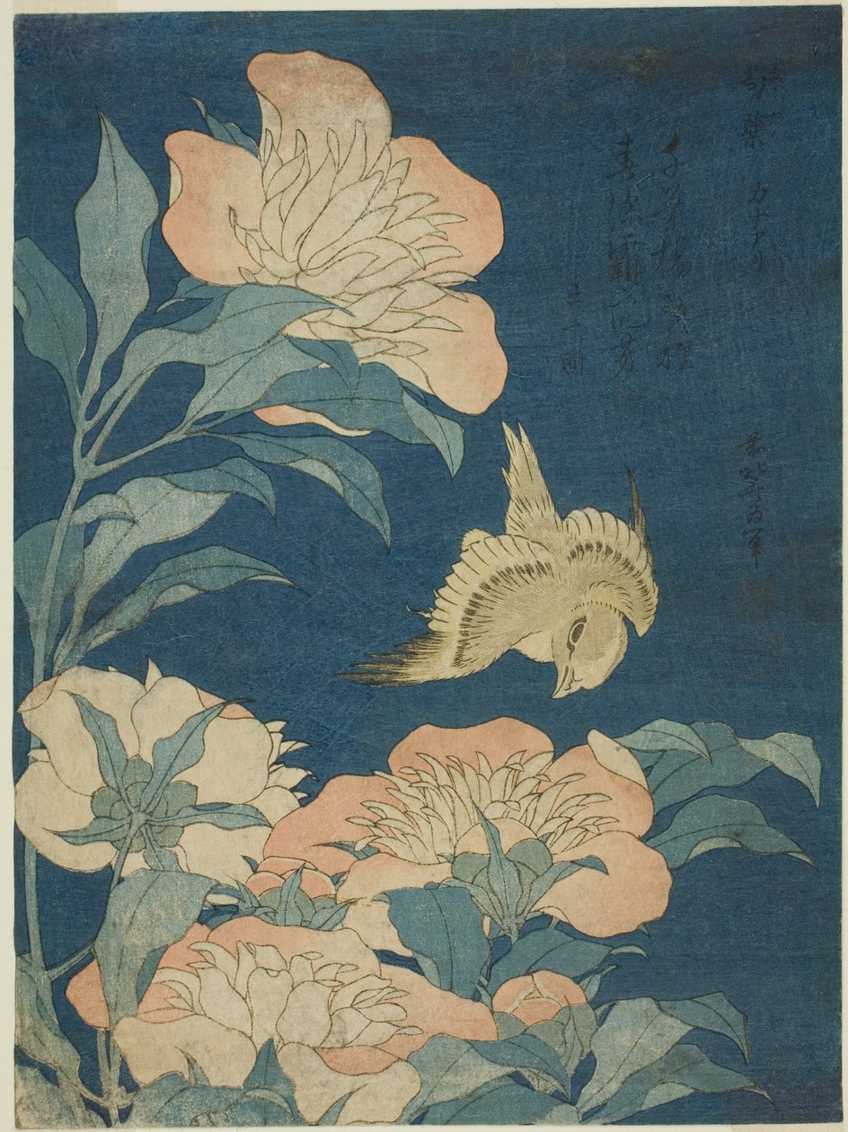 Kanarienvogel und Pfingstrose, aus einer unbetitelten Serie von Blumen und Vögeln von Katsushika Hokusai