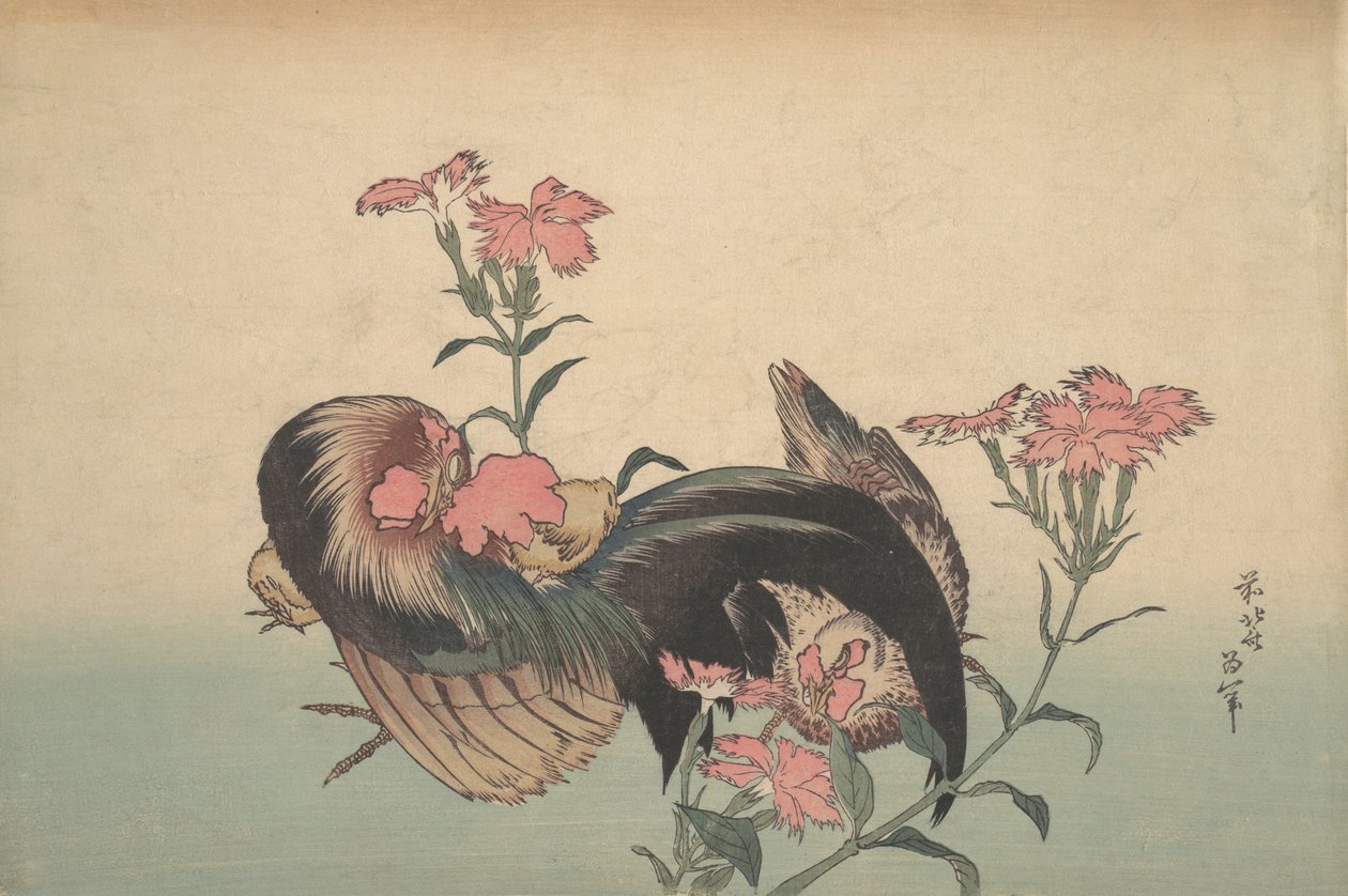 Hahn, Henne und Nadeshiko Dianthus Superbus von Katsushika Hokusai