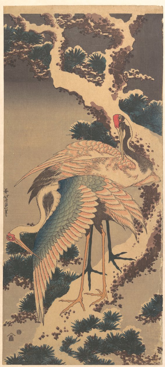 Kraniche auf einem Ast einer schneebedeckten Kiefer von Katsushika Hokusai