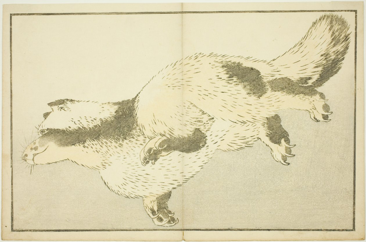 Fuchs, aus dem Bilderbuch der realistischen Malereien von Hokusai von Katsushika Hokusai