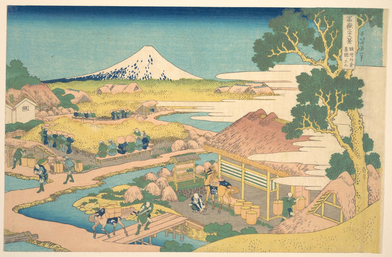 Fuji von den Katakura-Teefeldern in Suruga, aus der Serie Sechsunddreißig Ansichten des Berges Fuji von Katsushika Hokusai