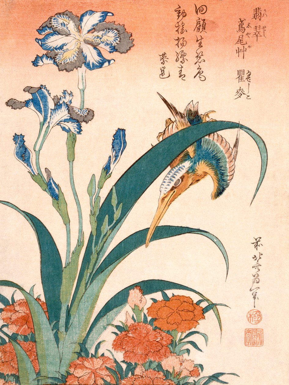 Eisvogel, Schwertlilien und Nelken (Farbholzschnitt) von Katsushika Hokusai