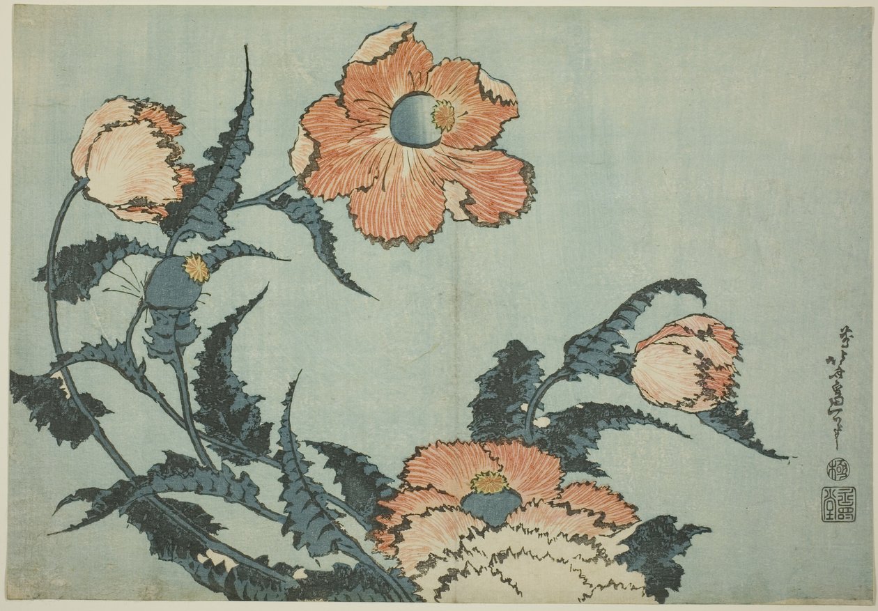 Mohnblumen, aus einer unbetitelten Serie von Blumen von Katsushika Hokusai