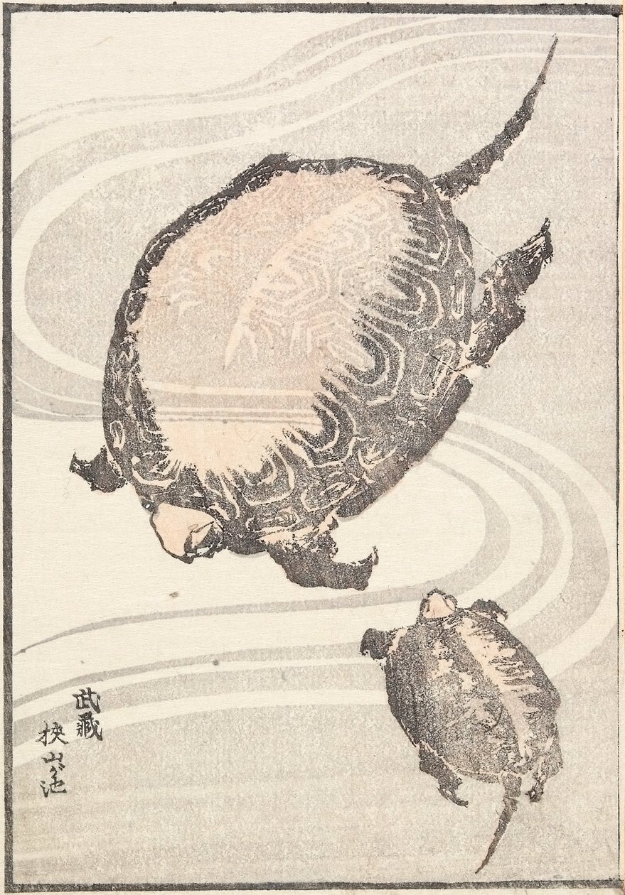 Sayama-ga-ike Teich in der Provinz Musashi von Katsushika Hokusai