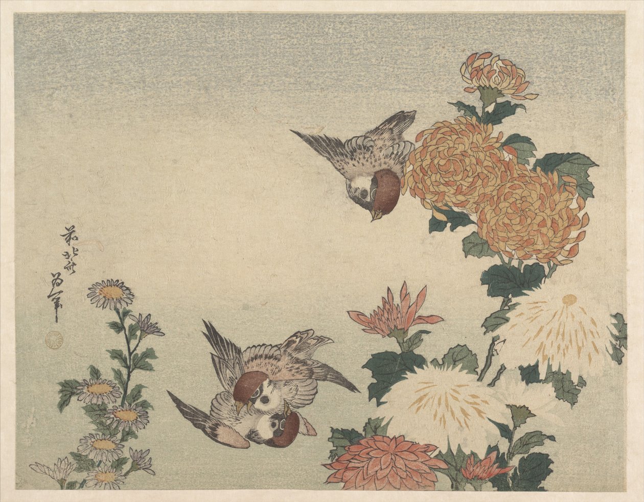 Spatzen und Chrysanthemen von Katsushika Hokusai