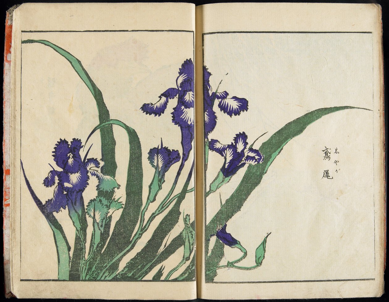 Die Seele übertragen und die Form der Dinge offenbaren: Hokusais Garten der Bilder, Bd. 1 komplett von Katsushika Hokusai