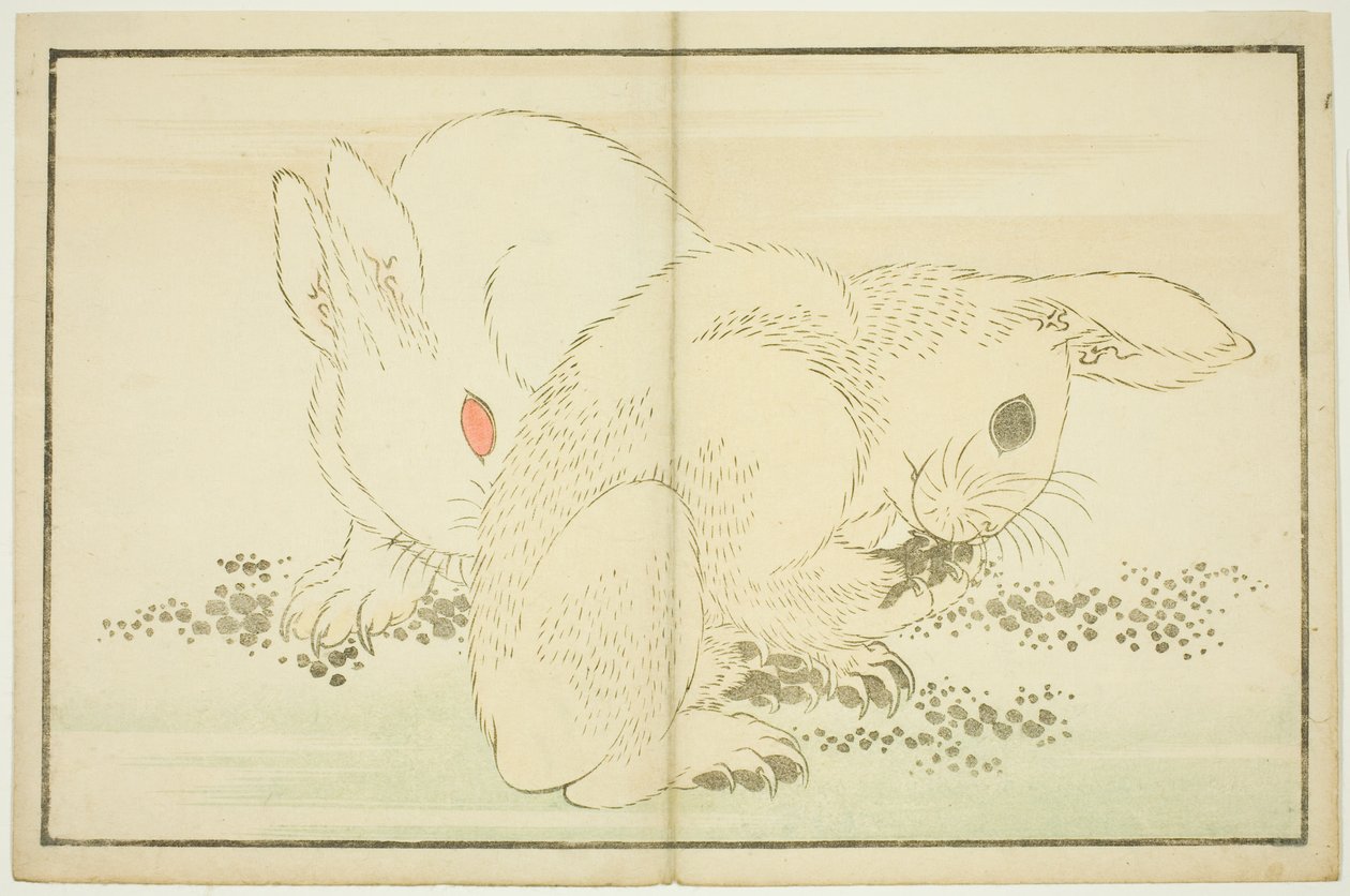 Zwei Kaninchen, aus dem Bilderbuch der realistischen Malereien von Hokusai (Hokusai shashin gafu) von Katsushika Hokusai