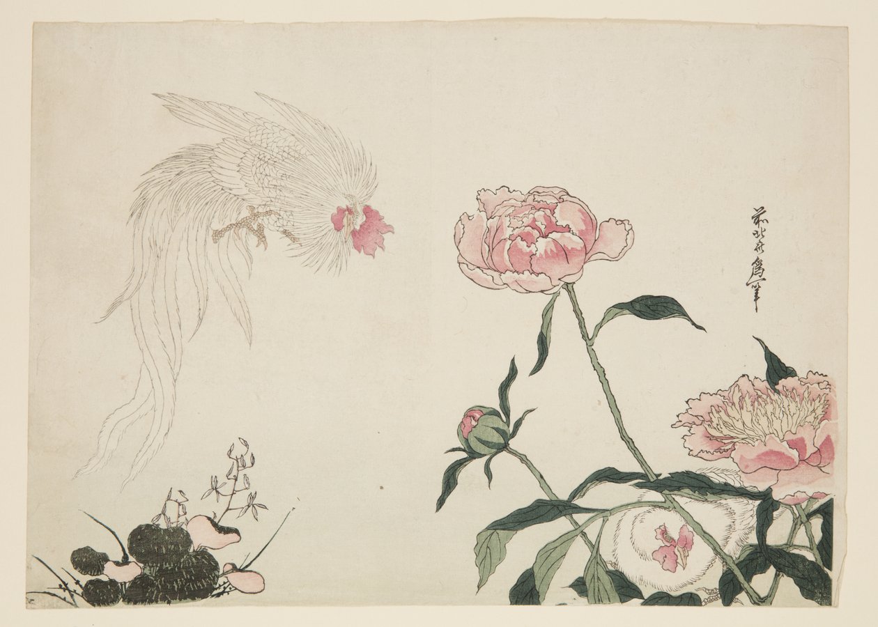 Langschwanzhähne unter Blumen von Katsushika II (fl.1820 50) Taito