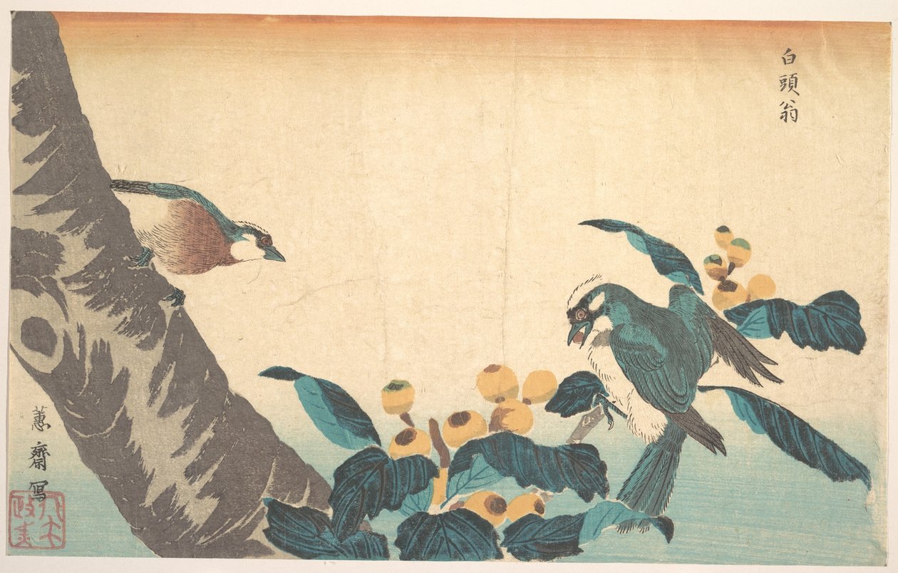 Vögel und Blumen von Keisai Eisen