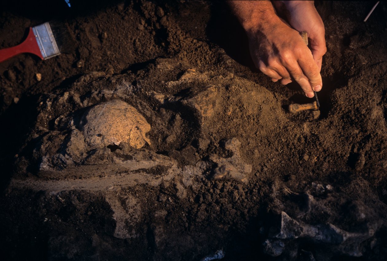 Dmanisi, Georgien, David Lordkipanidze, Homo Erectus