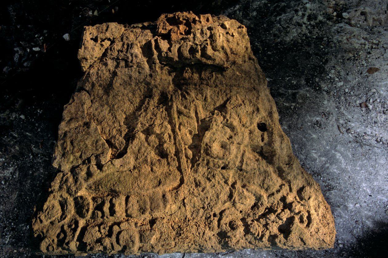 Stele, Sufricaya, Holmul, Guatemala, Maya, Francisco Estradabelli, 2008 (Foto) von Kenneth Garrett