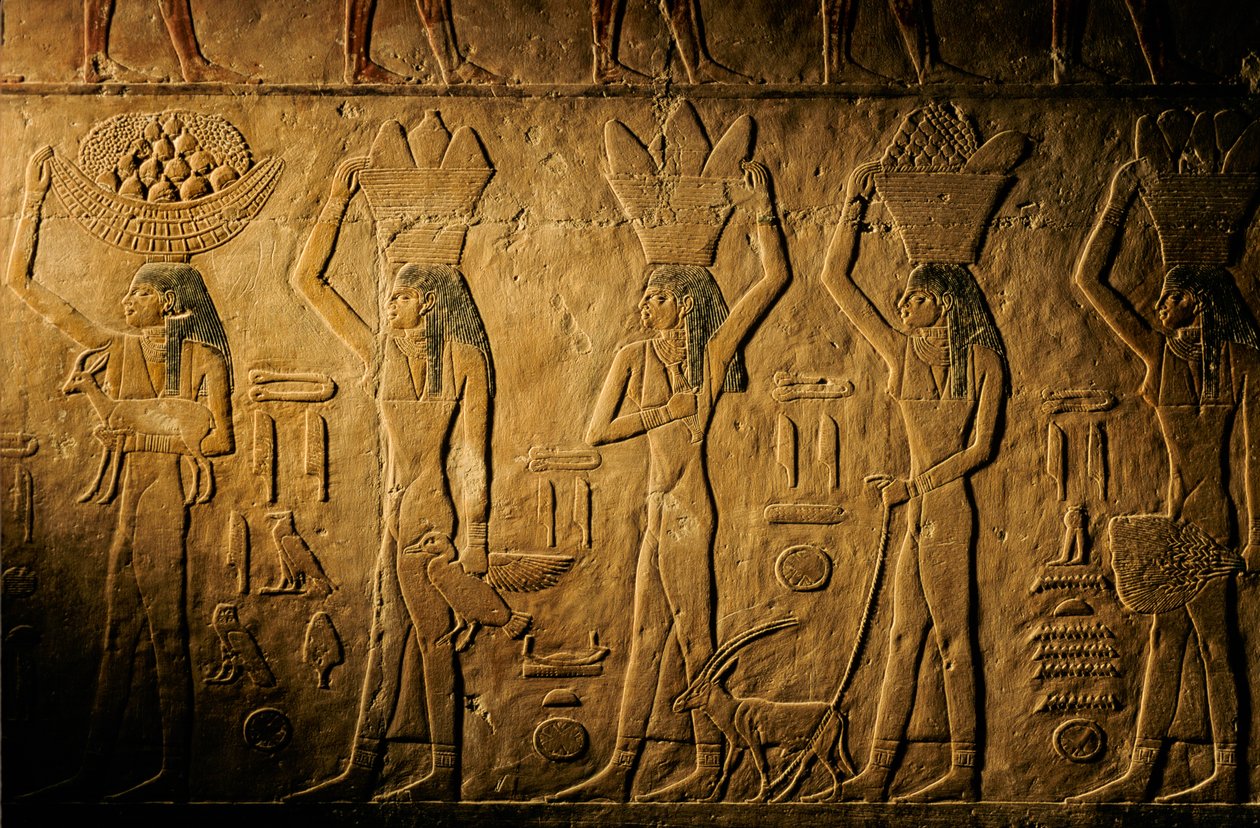 Frauen tragen Brot, Vogel, Ziege und Produkte, Grab von Tiye, Ägypten; Altes Reich; Saqqara von Kenneth Garrett