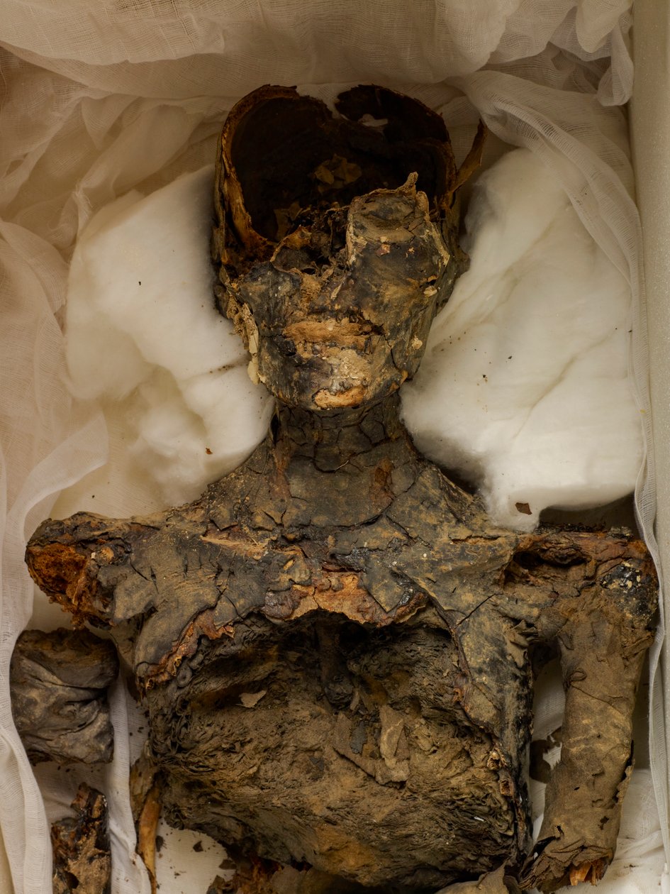 18. Dynastie; Neues Reich; Ägypten; Das Ägyptische Museum; Kairo; Mumie; Tal der Könige, 2009 (Foto) von Kenneth Garrett