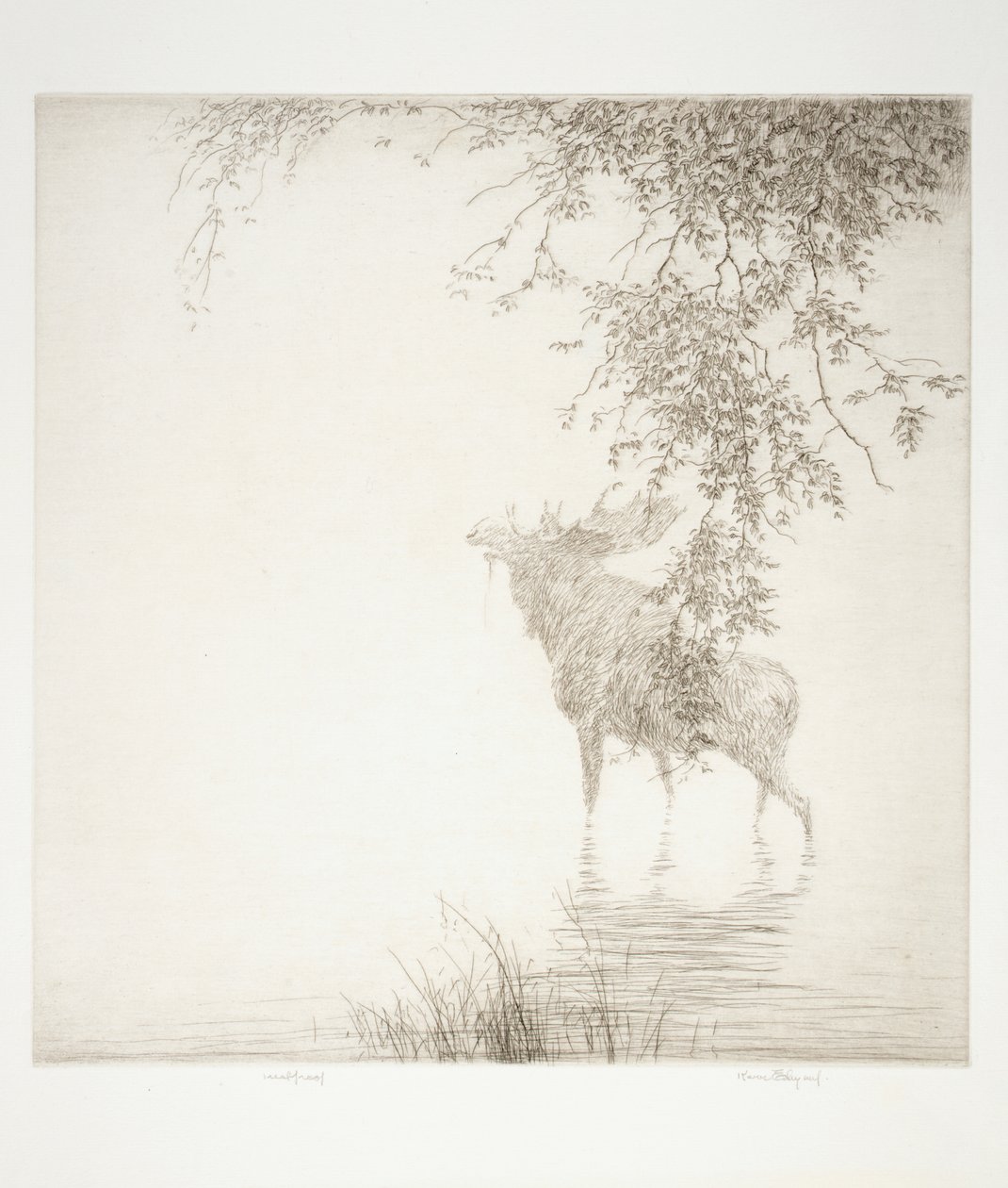 Schatten auf dem Agawa von Kerr Eby