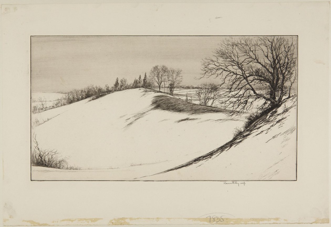 Der Rücken des Wals von Kerr Eby
