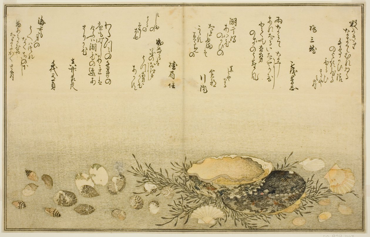 Chidori-gai, itaya-gai, awabi, utsuse-gai, asari-gai und monoara-gai, aus dem illustrierten Buch "Geschenke der Ebbe (Shiohi no tsuto)" von Kitagawa Utamaro