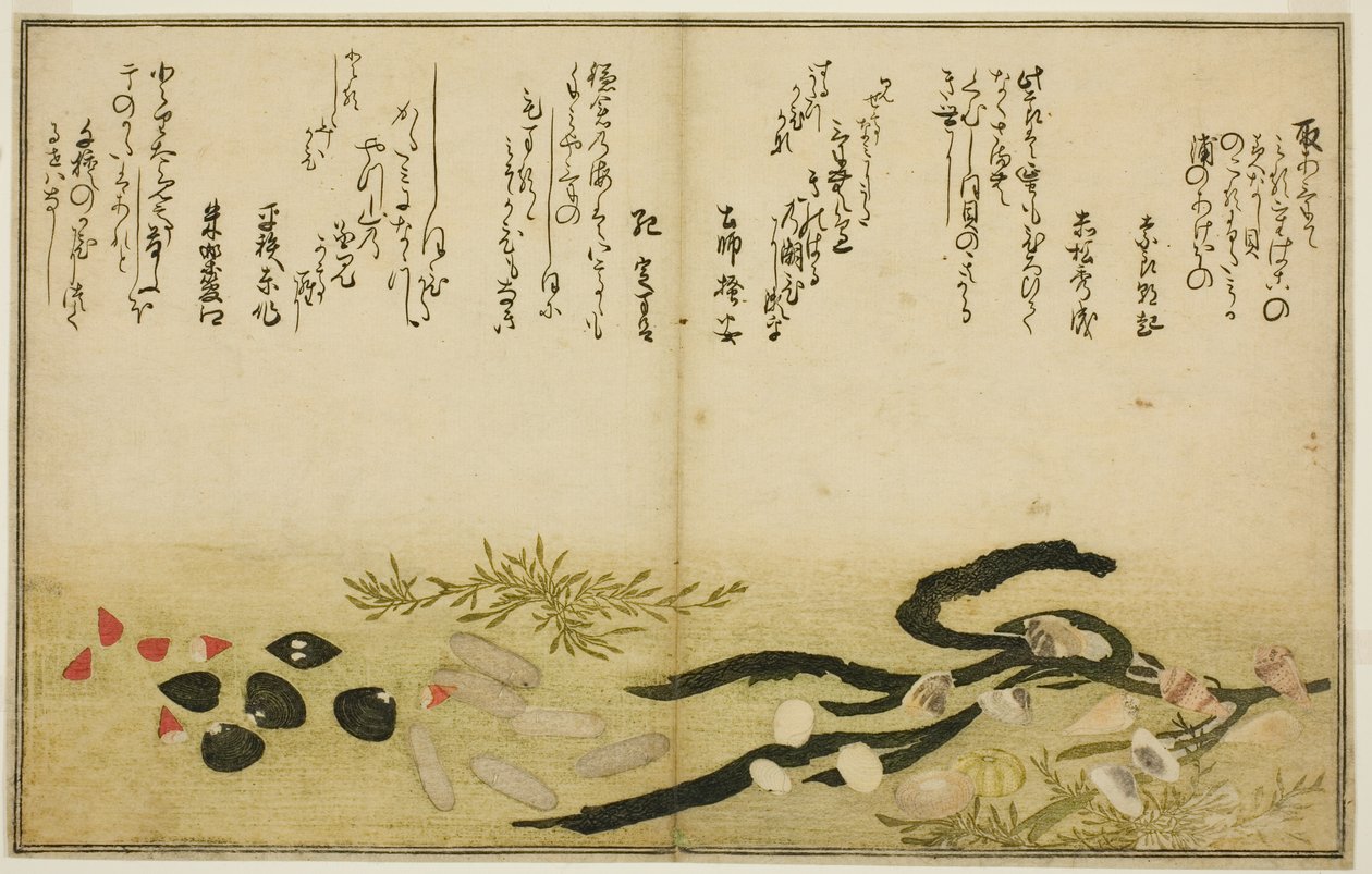 Minashi-gai, shio-gai, katatsu-gai, miso-gai, chijimi-gai und chigusa-gai, aus dem illustrierten Buch "Geschenke von der Ebbe (Shiohi no tsuto)" von Kitagawa Utamaro