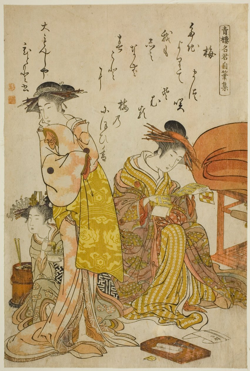Die Kurtisane Hitomoto von Daimonjiya, aus dem Album "Vergleich neuer Schönheiten von Yoshiwara - Ein Spiegel ihrer eigenen Schriften (Keisei shin bijin awase jikihitsu kagami)" von Kitao Masanobu