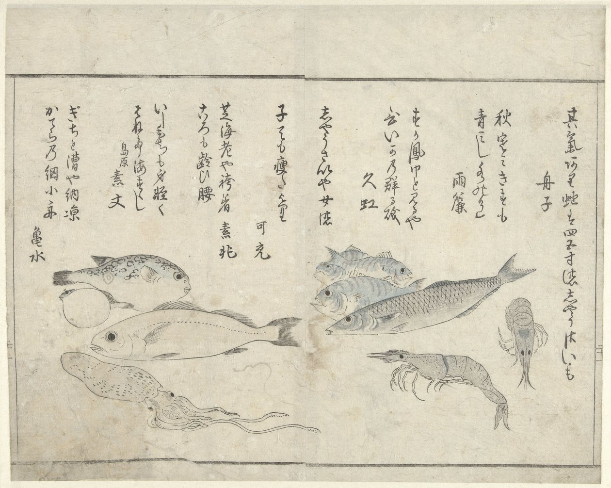 Meerestiere von Kitao Masayoshi