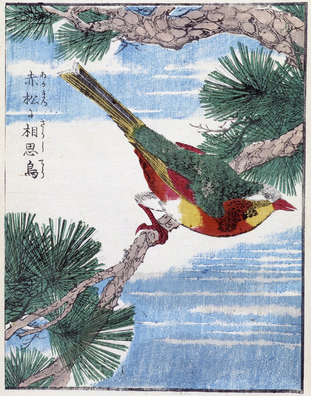 Vogel auf einem Baum. Japanische Zeichnung von Kitao Kosuisai von Kitao Shigemasa